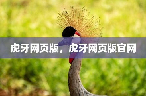 虎牙网页版，虎牙网页版官网