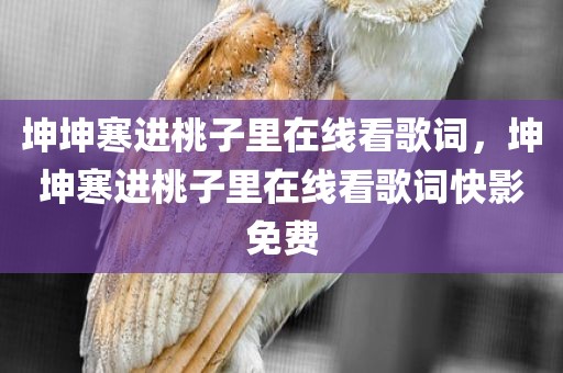 坤坤寒进桃子里在线看歌词，坤坤寒进桃子里在线看歌词快影免费