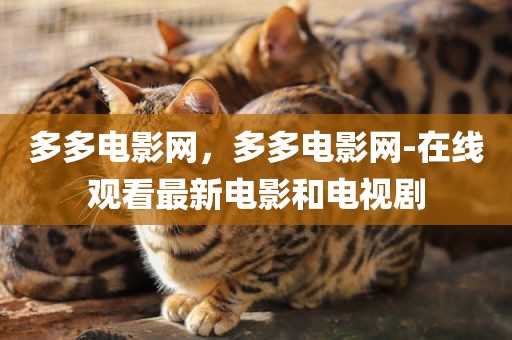 多多电影网，多多电影网-在线观看最新电影和电视剧