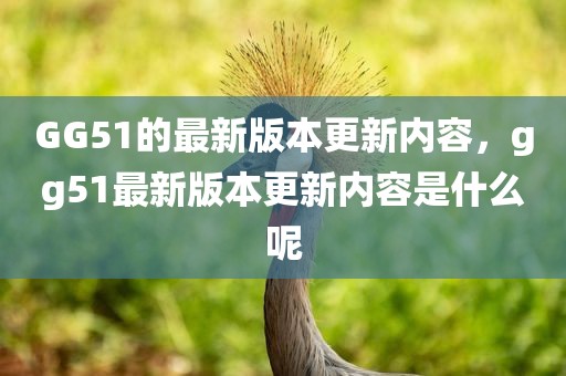 GG51的最新版本更新内容，gg51最新版本更新内容是什么呢