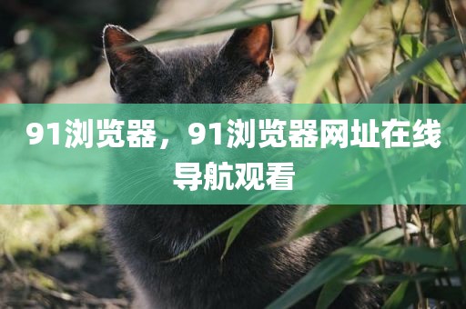 91浏览器，91浏览器网址在线导航观看