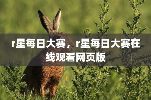 r星每日大赛，r星每日大赛在线观看网页版