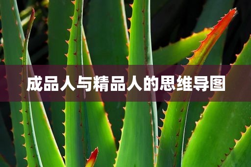 成品人与精品人的思维导图