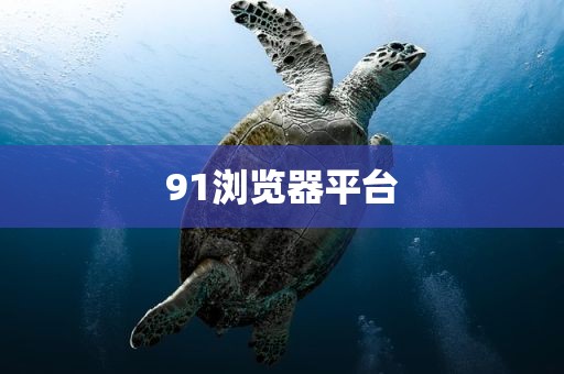 91浏览器平台