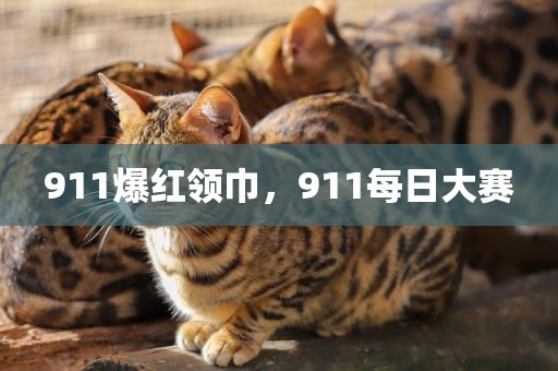 911爆红领巾，911每日大赛