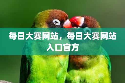 每日大赛网站，每日大赛网站入口官方