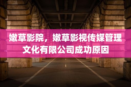 嫩草影院，嫩草影视传媒管理文化有限公司成功原因