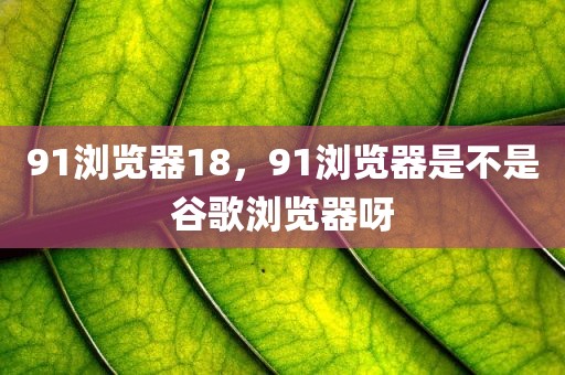 91浏览器18，91浏览器是不是谷歌浏览器呀