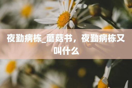 夜勤病栋_蘑菇书，夜勤病栋又叫什么