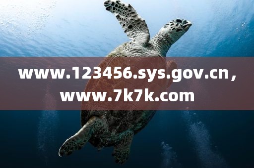 www.123456.sys.gov.cn，www.7k7k.com