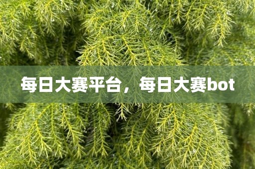 每日大赛平台，每日大赛bot