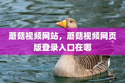 蘑菇视频网站，蘑菇视频网页版登录入口在哪