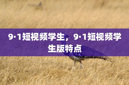 9·1短视频学生，9·1短视频学生版特点