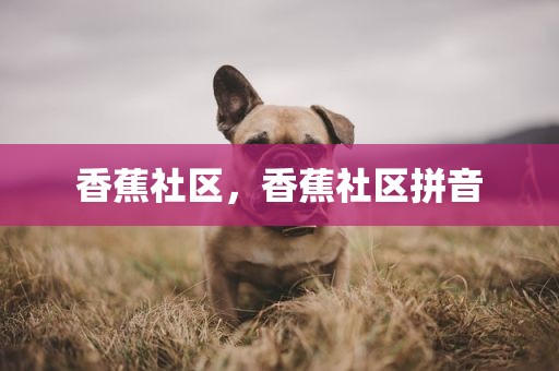 香蕉社区，香蕉社区拼音