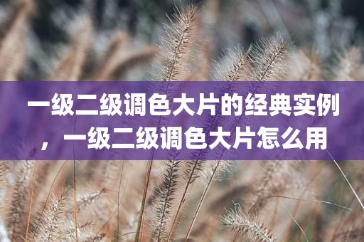 一级二级调色大片的经典实例，一级二级调色大片怎么用