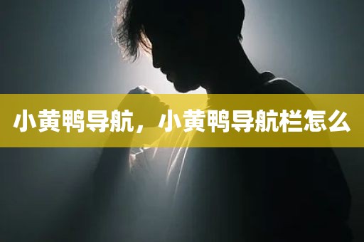 小黄鸭导航，小黄鸭导航栏怎么