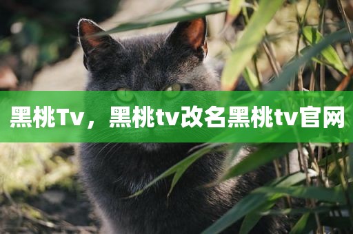 黑桃Tv，黑桃tv改名黑桃tv官网
