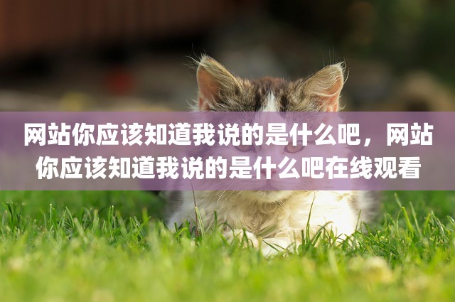 网站你应该知道我说的是什么吧，网站你应该知道我说的是什么吧在线观看