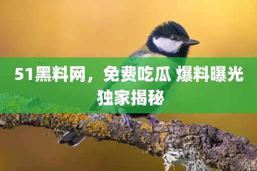 51黑料网，免费吃瓜 爆料曝光 独家揭秘