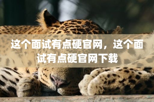 这个面试有点硬官网，这个面试有点硬官网下载