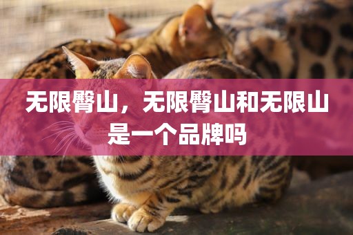 无限臀山，无限臀山和无限山是一个品牌吗