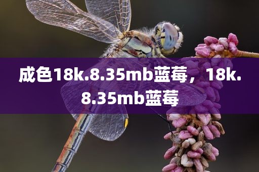 成色18k.8.35mb蓝莓，18k.8.35mb蓝莓