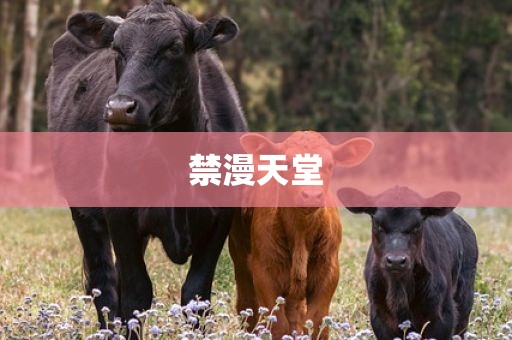 禁漫天堂