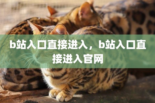 b站入口直接进入，b站入口直接进入官网