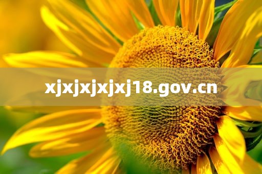 xjxjxjxjxj18.gov.cn