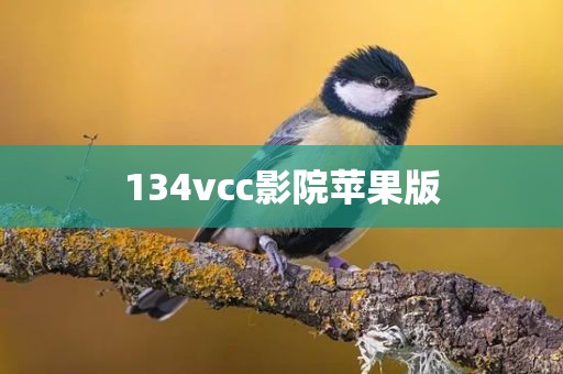 134vcc影院苹果版