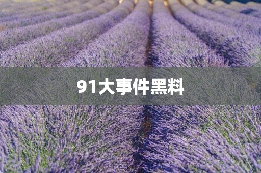 91大事件黑料