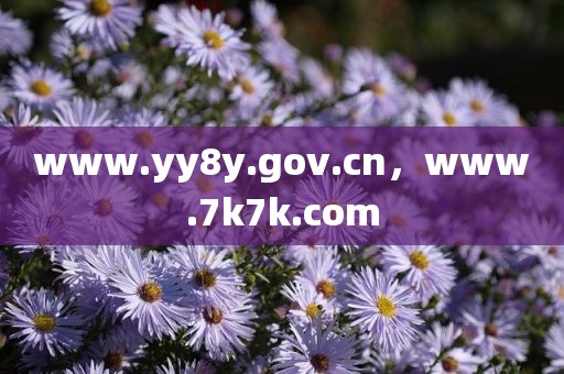 www.yy8y.gov.cn，www.7k7k.com