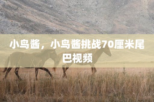 小鸟酱，小鸟酱挑战70厘米尾巴视频