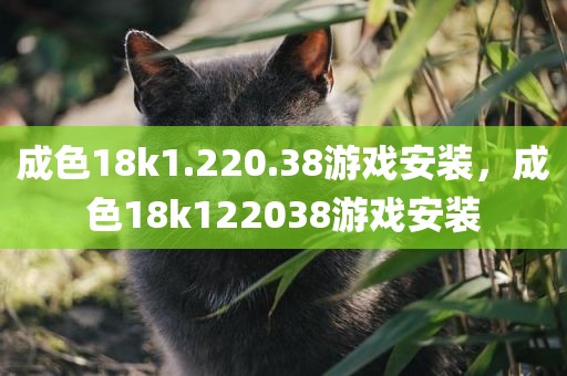 成色18k1.220.38游戏安装，成色18k122038游戏安装