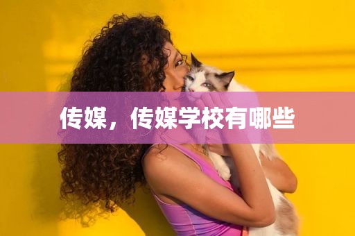 传媒，传媒学校有哪些