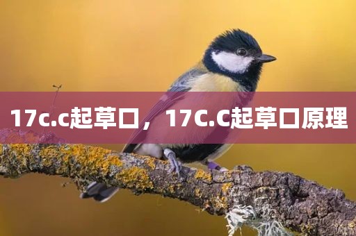 17c.c起草口，17C.C起草口原理