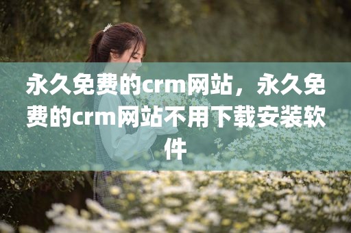 永久免费的crm网站，永久免费的crm网站不用下载安装软件
