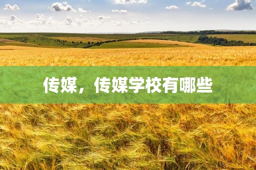 传媒，传媒学校有哪些