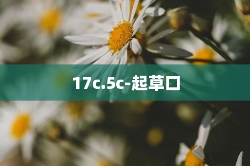 17c.5c-起草口