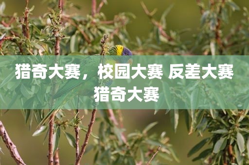 猎奇大赛，校园大赛 反差大赛 猎奇大赛
