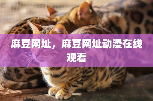 麻豆网址，麻豆网址动漫在线观看