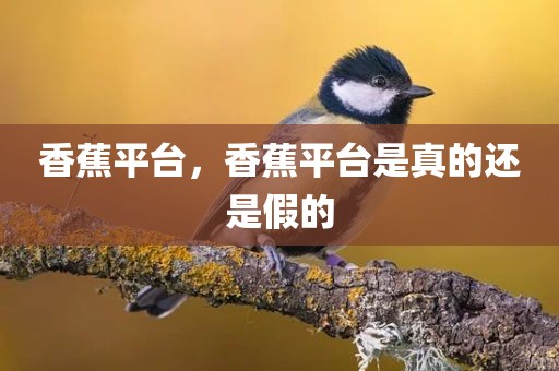 香蕉平台，香蕉平台是真的还是假的