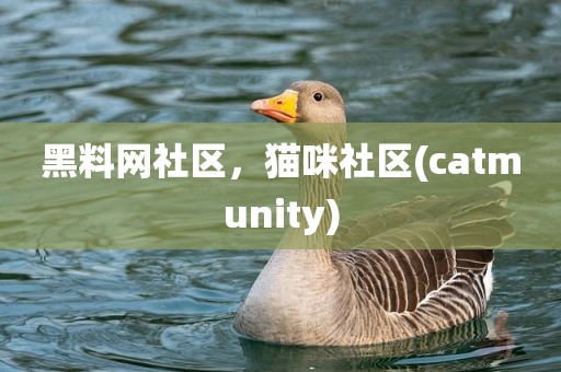 黑料网社区，猫咪社区(catmunity)