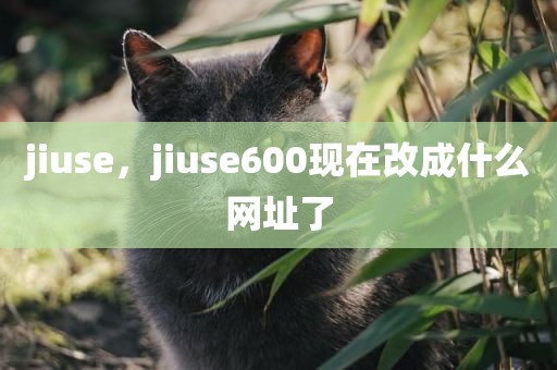 jiuse，jiuse600现在改成什么网址了