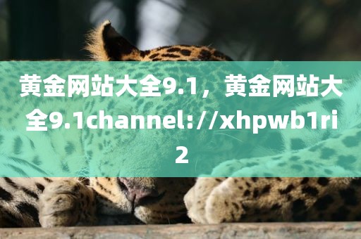 黄金网站大全9.1，黄金网站大全9.1channel://xhpwb1ri2
