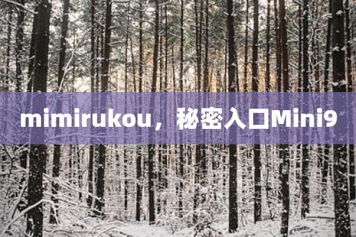 mimirukou，秘密入口Mini9