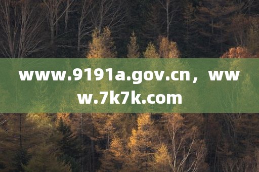 www.9191a.gov.cn，www.7k7k.com