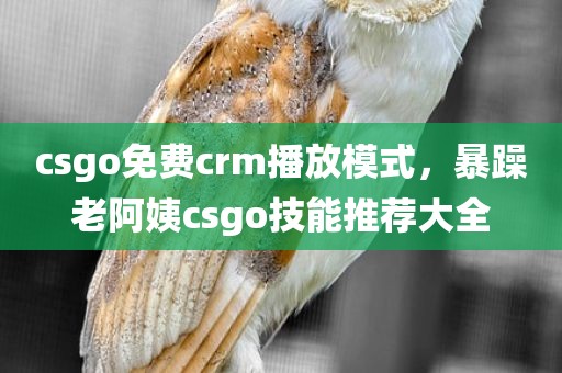 csgo免费crm播放模式，暴躁老阿姨csgo技能推荐大全