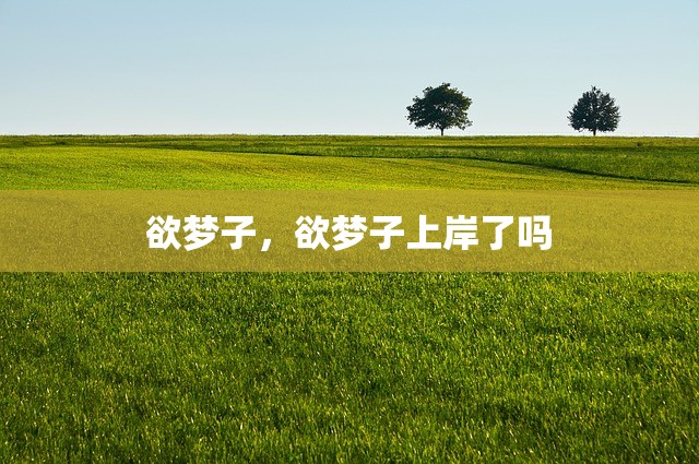 欲梦子，欲梦子上岸了吗