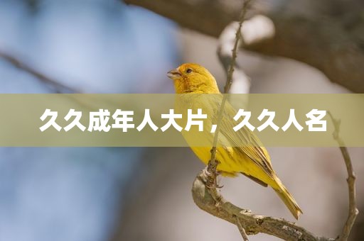 久久成年人大片，久久人名
